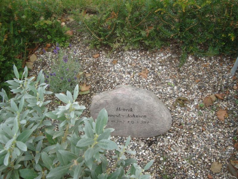 Henrik Johnsen.JPG